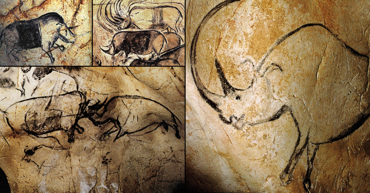 The Cave Art Paintings Of The Chauvet Cave