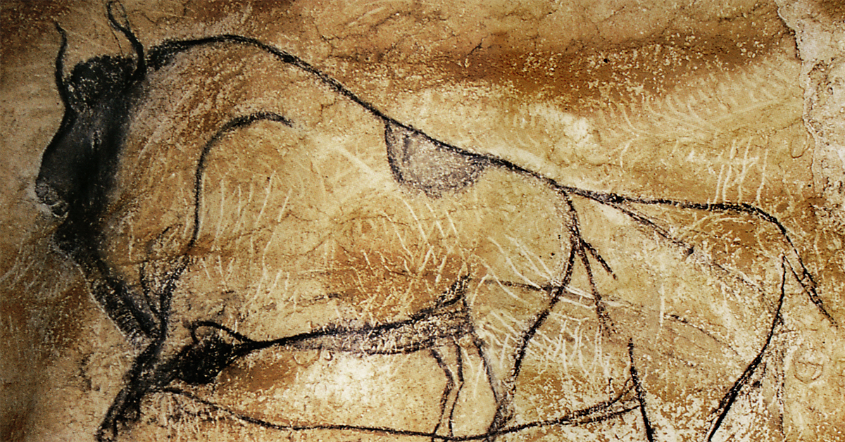 Bison - The Cave Art Paintings of the Chauvet Cave