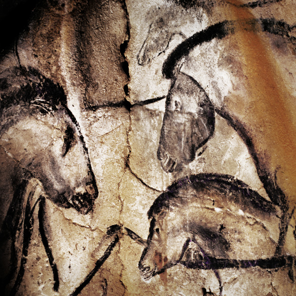 Facing Horses The Cave Art Paintings of the Chauvet Cave