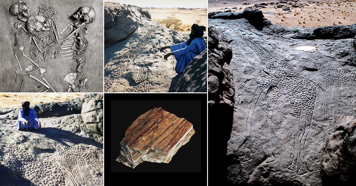 Getty Conservation Institute - Bradshaw Foundation