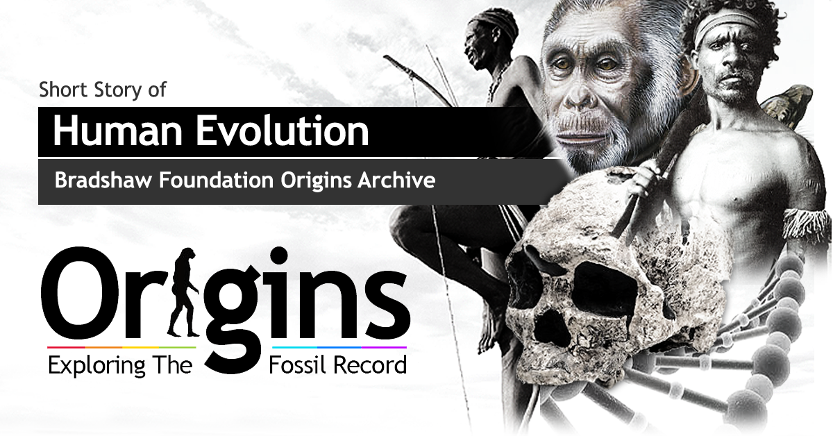 human evolution and the fossil record essay human evolution and the fossil record essay