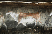 South Africa Rock Art Paintings