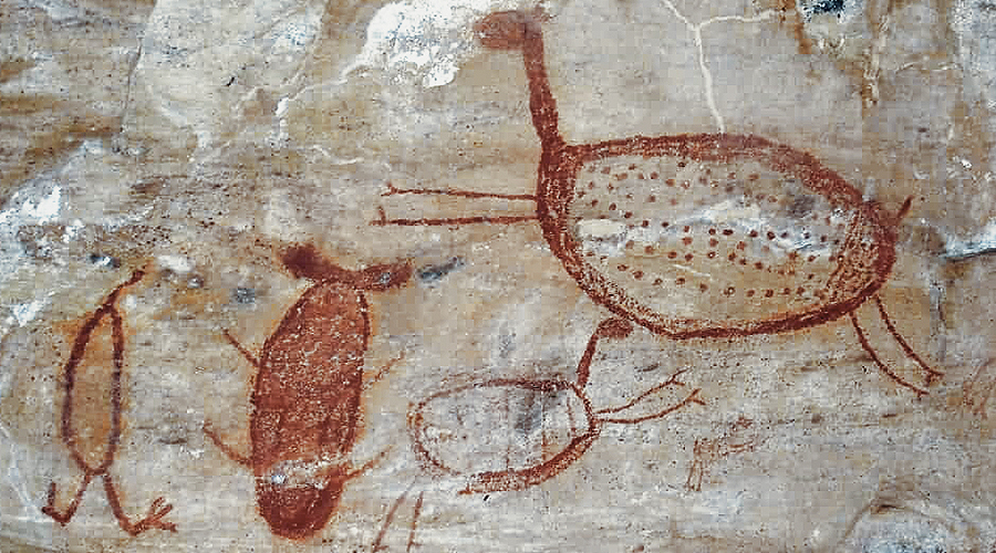 Rock Art of Serra da Capivara Petroglyphs Petroglyph South America Archaeology Bradshaw Foundation