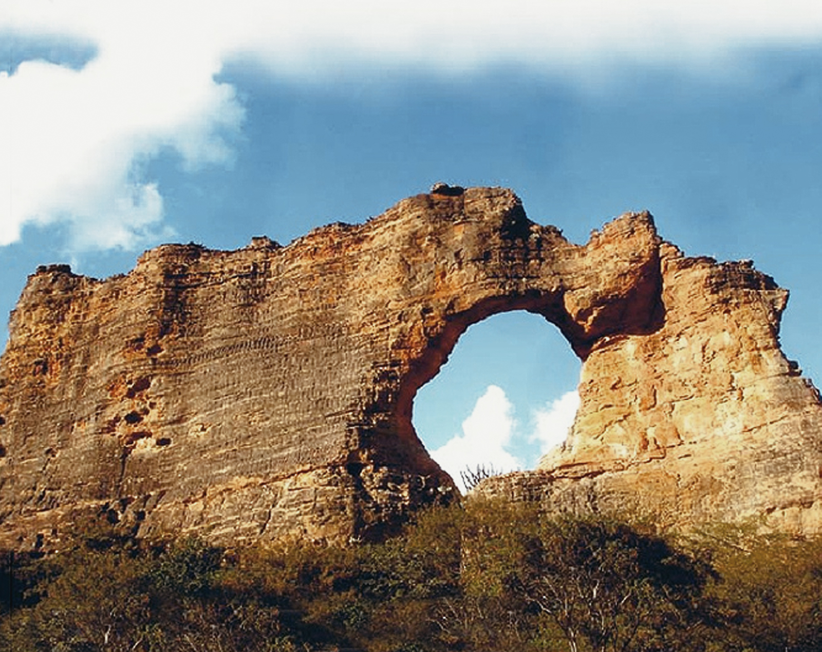 Risultati immagini per serra da capivara