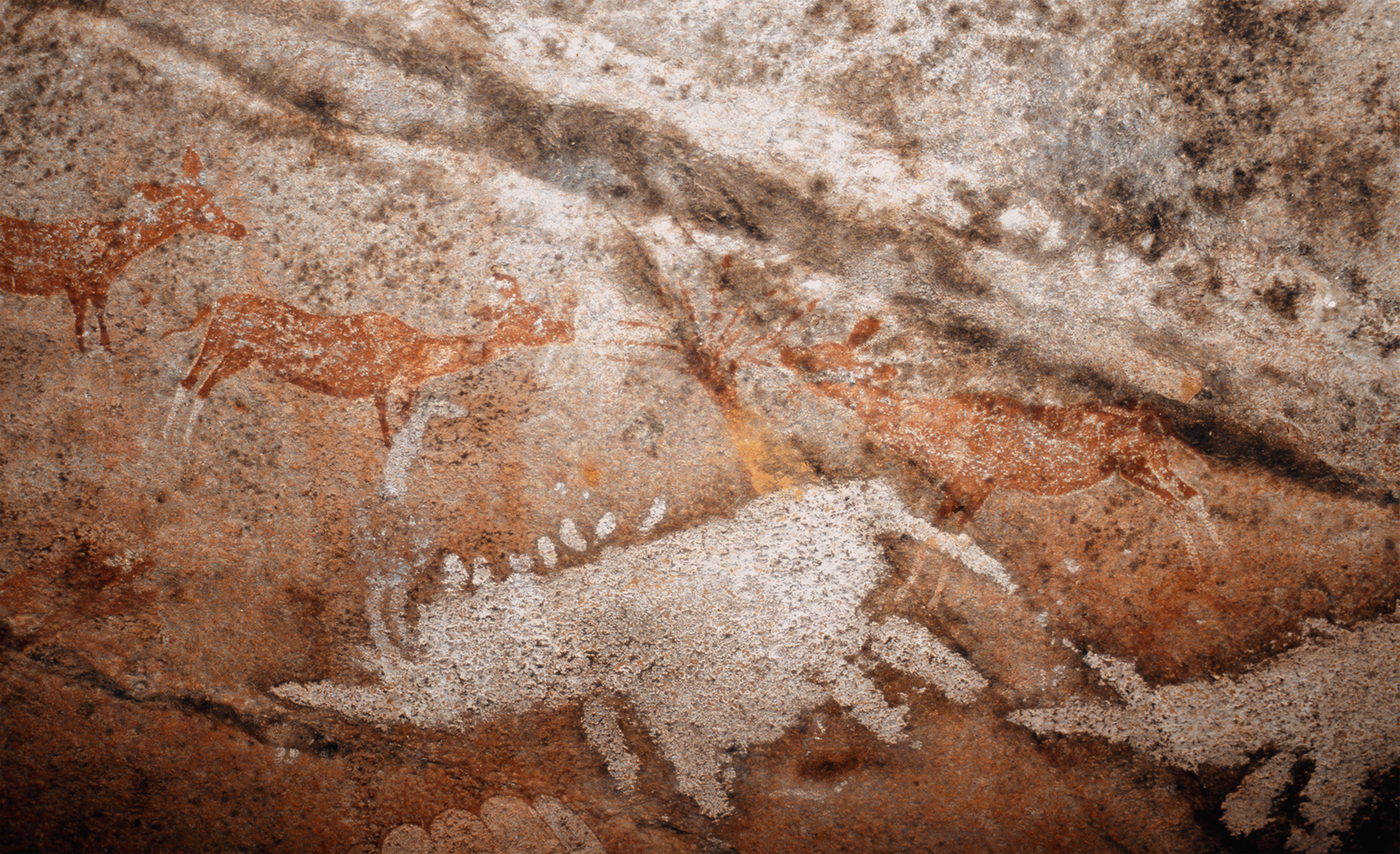 Bradshaw Foundation Matobo Hills Rock Art Paintings Africa African UNESCO World Heritage Site Zimbabwe