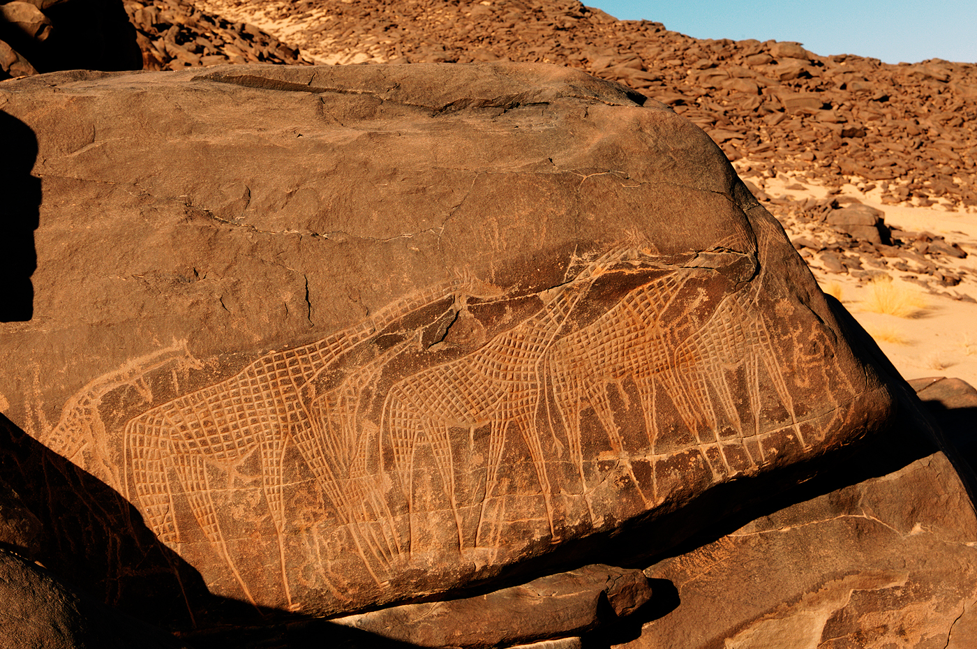 Bradshaw Foundation Libya Rock Art Paintings Africa African