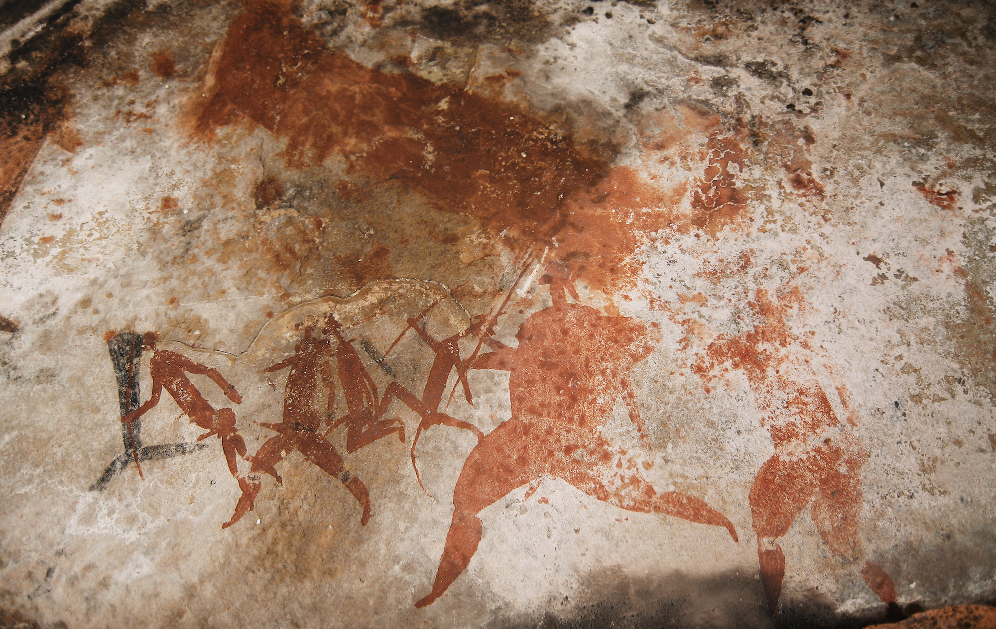 Bradshaw Foundation San Bushmen Rock Art Paintings Africa African Shamans Shaman religious spirit world journeys