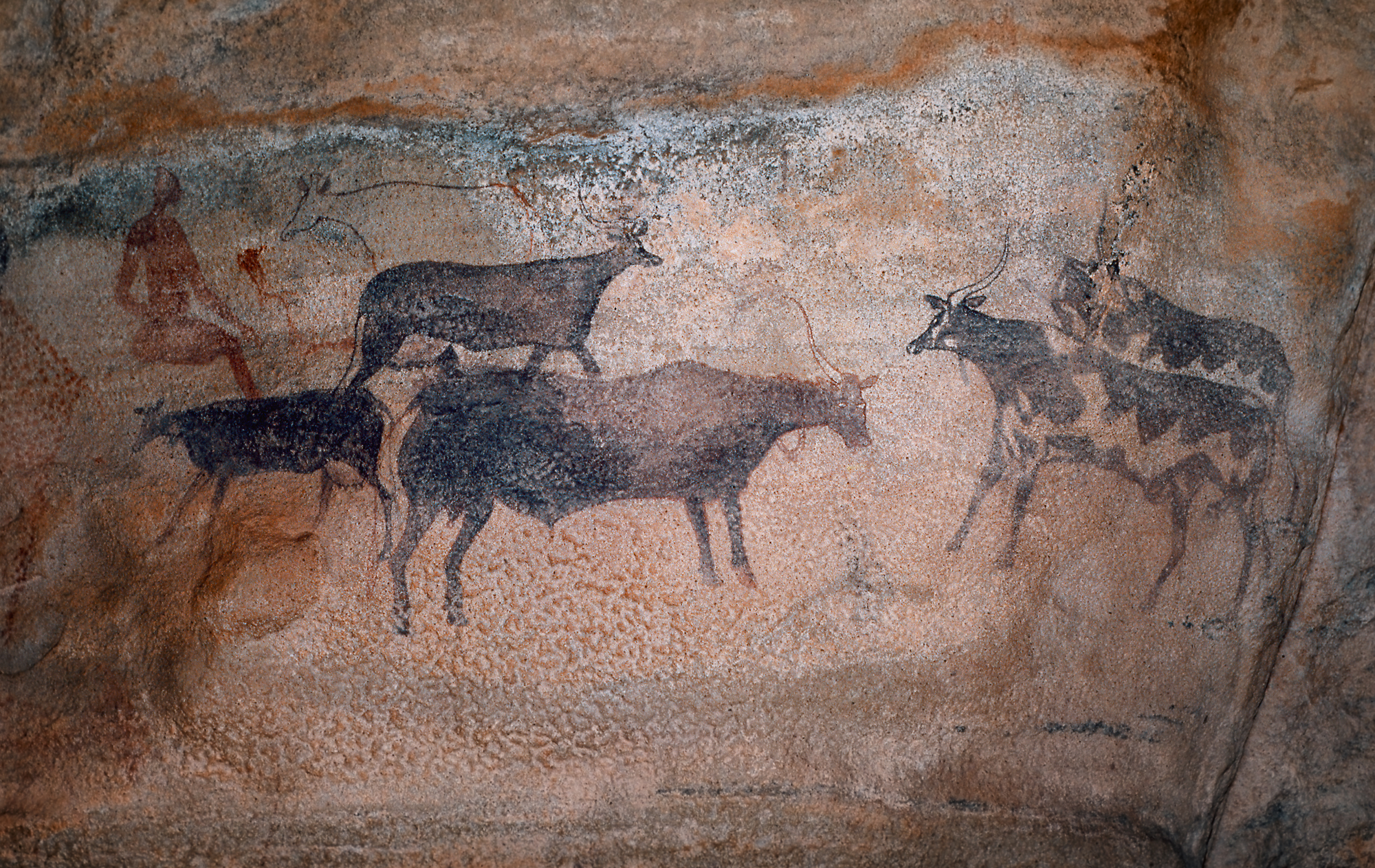 Bradshaw Foundation Tassili n'Ajjer Rock Art Paintings Africa African Algeria