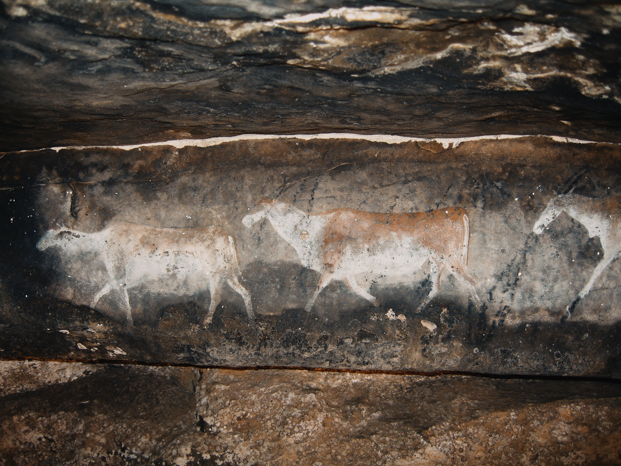 Bradshaw Foundation San Bushmen Rock Art Paintings Africa African Shamans Shaman religious spirit world journeys