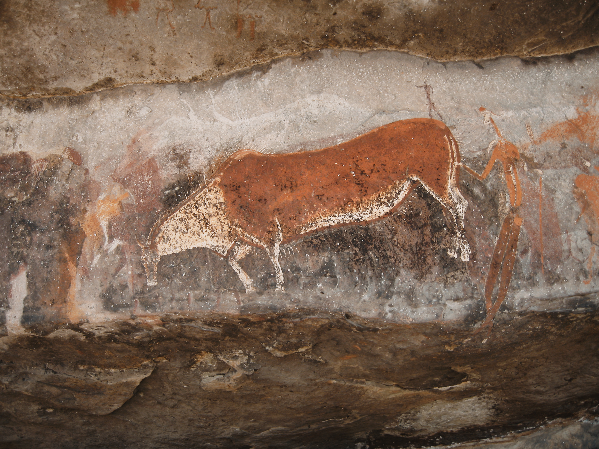 Bradshaw Foundation San Bushmen Rock Art Paintings Africa African Shamans Shaman religious spirit world journeys