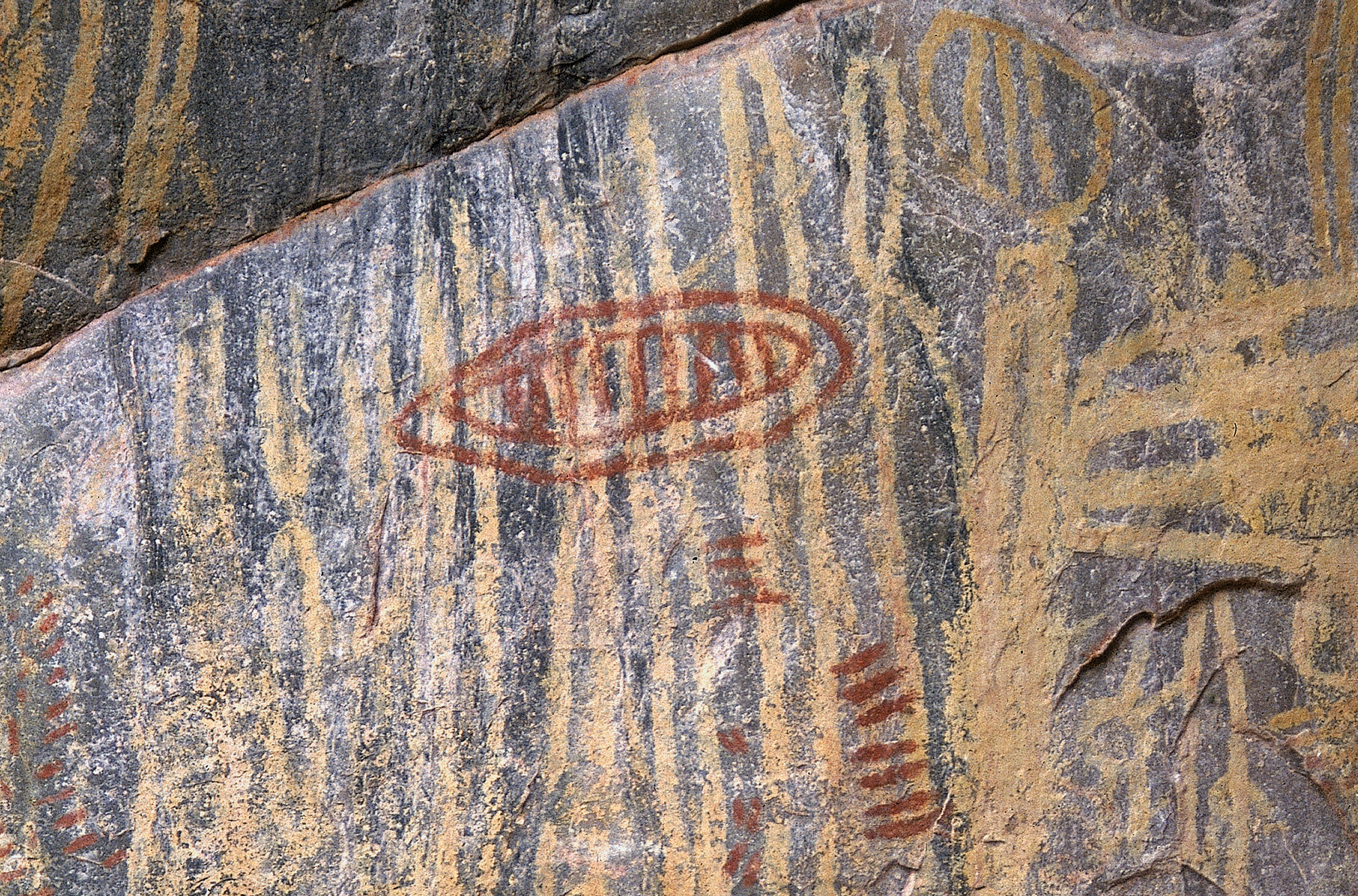 Bradshaw Foundation Rock Art Paintings Africa African Batwa Hunter-gatherer Pygmies Pygmy Forest