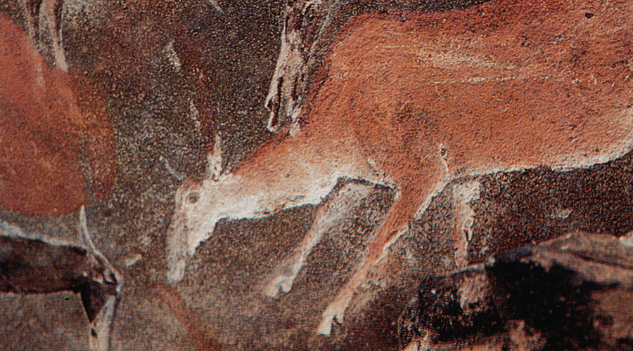 Bradshaw Foundation Rock Art Rockart Africa African Animals Petroglyphs Pictographs Archaeology Prehistory