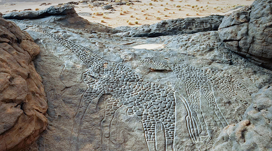 Bradshaw Foundation Rock Art Rockart Africa African Niger Giraffe Giraffes Dabous Sahara Petroglyphs Pictographs Archaeology Prehistory
