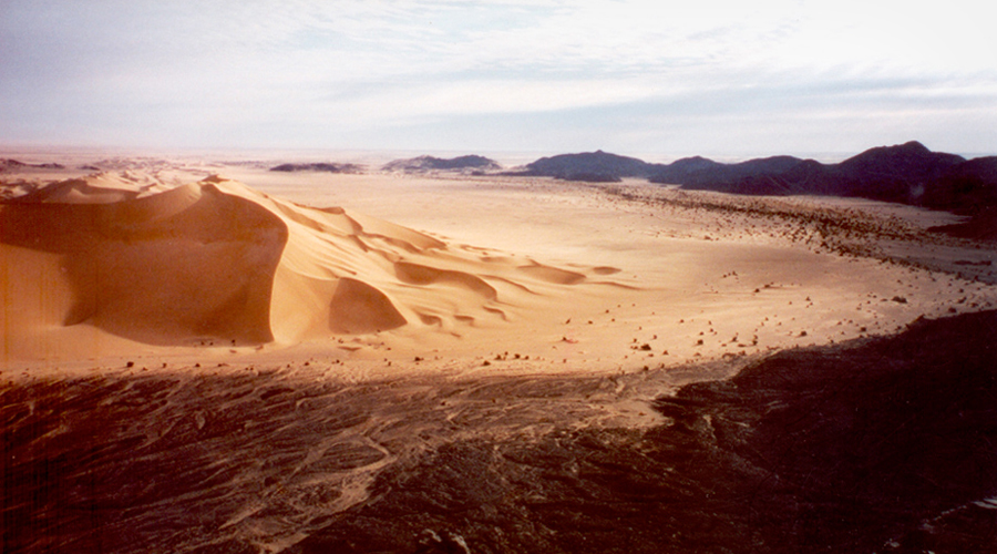 Bradshaw Foundation Rock Art Rockart Africa African Sahara Great Desert