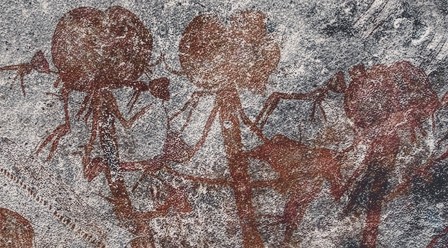 Rock Art Swaga Swaga Game Reserve Tanzania