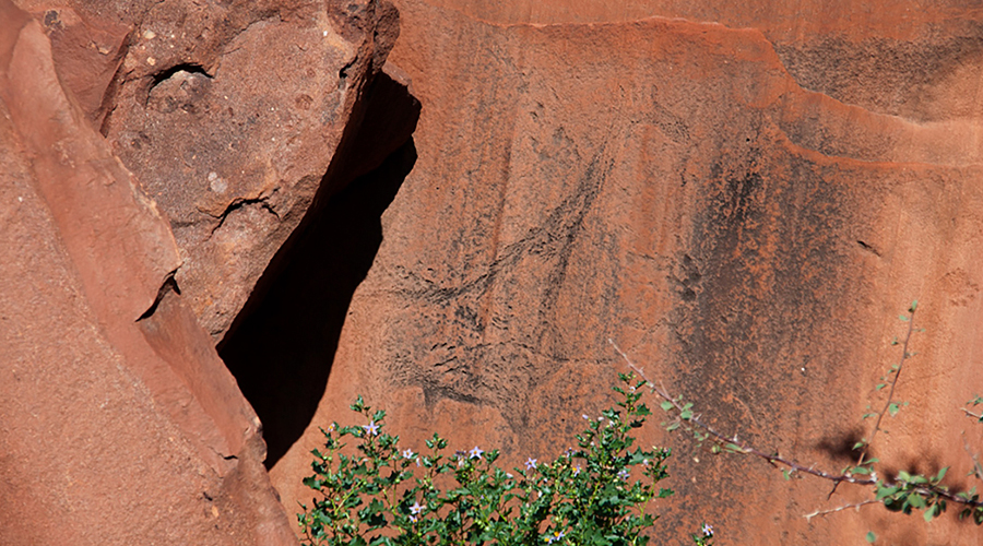 Twyfelfontein /Ui- //aes Rock Art Namibia Africa Bradshaw Foundation UNESCO World Heritage Site Animal Engravings Cupules