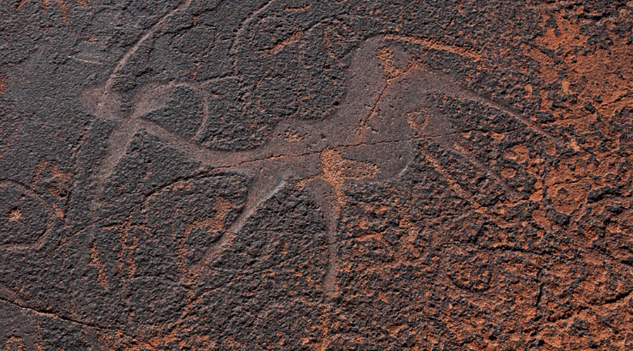 Twyfelfontein /Ui- //aes Rock Art Namibia Africa Bradshaw Foundation UNESCO World Heritage Site