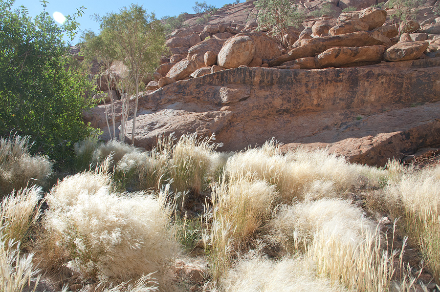 Bradshaw Foundation Rock Art Engraving Engravings Namibia Twyfelfontein /Ui- //aes Brandberg UNESCO World Heritage Site Africa Rock Art Network RAN
