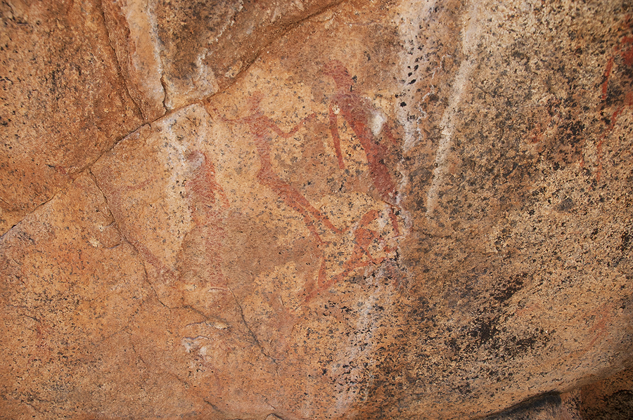 Bradshaw Foundation Rock Art Engraving Engravings Namibia Twyfelfontein /Ui- //aes Brandberg UNESCO World Heritage Site Africa Rock Art Network RAN