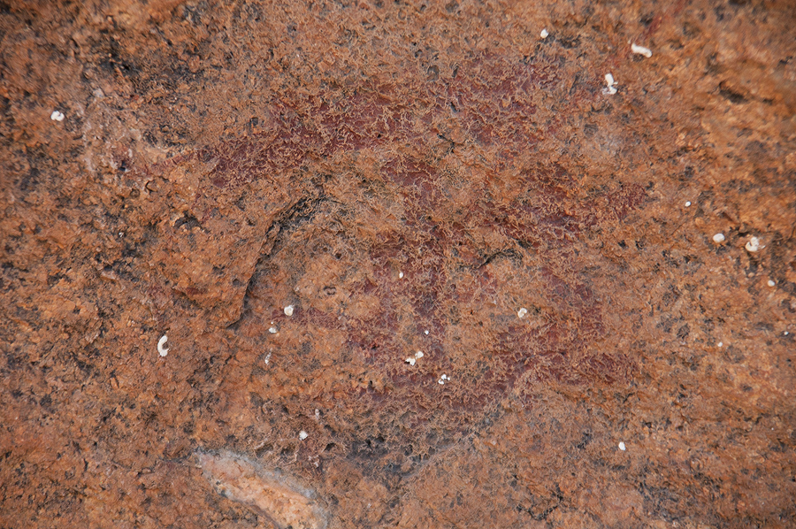 Bradshaw Foundation Rock Art Engraving Engravings Namibia Twyfelfontein /Ui- //aes Brandberg UNESCO World Heritage Site Africa Rock Art Network RAN