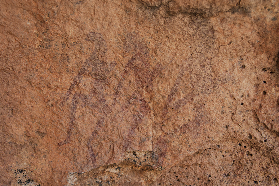 Bradshaw Foundation Rock Art Engraving Engravings Namibia Twyfelfontein /Ui- //aes Brandberg UNESCO World Heritage Site Africa Rock Art Network RAN