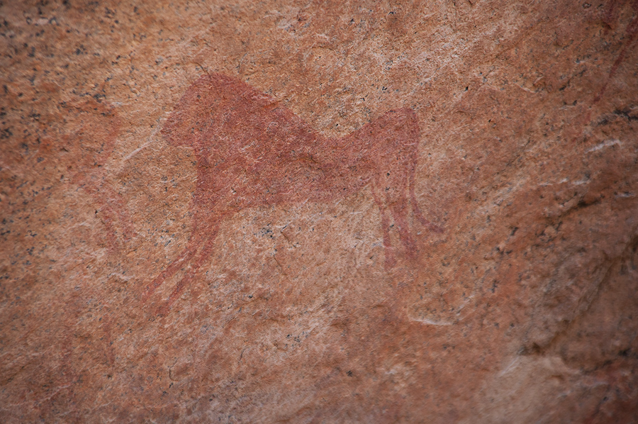 Bradshaw Foundation Rock Art Engraving Engravings Namibia Twyfelfontein /Ui- //aes Brandberg UNESCO World Heritage Site Africa Rock Art Network RAN