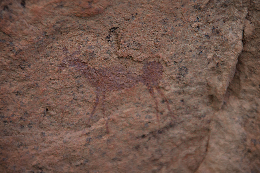 Bradshaw Foundation Rock Art Engraving Engravings Namibia Twyfelfontein /Ui- //aes Brandberg UNESCO World Heritage Site Africa Rock Art Network RAN