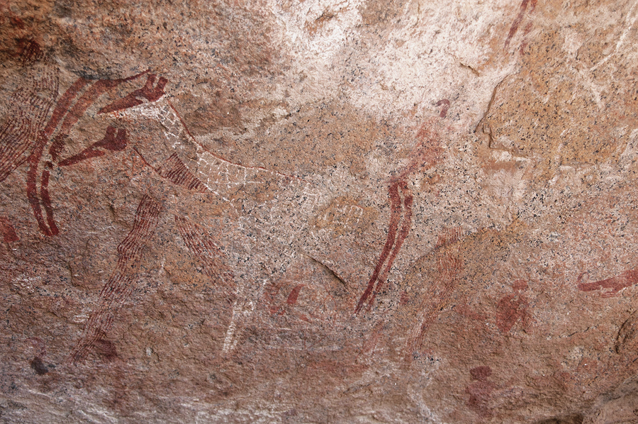 Bradshaw Foundation Rock Art Engraving Engravings Namibia Twyfelfontein /Ui- //aes Brandberg UNESCO World Heritage Site Africa Rock Art Network RAN