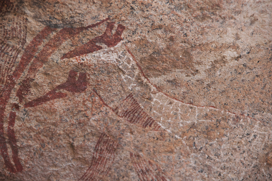 Bradshaw Foundation Rock Art Engraving Engravings Namibia Twyfelfontein /Ui- //aes Brandberg UNESCO World Heritage Site Africa Rock Art Network RAN
