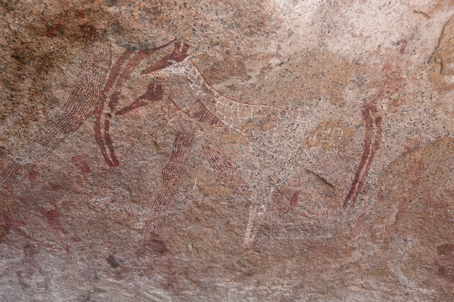Bradshaw Foundation Rock Art Engraving Engravings Namibia Twyfelfontein /Ui- //aes Brandberg UNESCO World Heritage Site Africa Rock Art Network RAN
