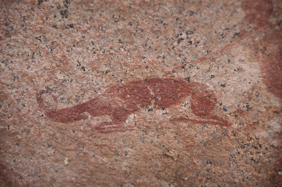 Bradshaw Foundation Rock Art Engraving Engravings Namibia Twyfelfontein /Ui- //aes Brandberg UNESCO World Heritage Site Africa Rock Art Network RAN