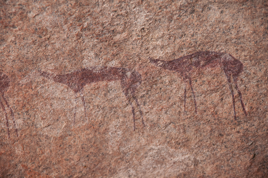 Bradshaw Foundation Rock Art Engraving Engravings Namibia Twyfelfontein /Ui- //aes Brandberg UNESCO World Heritage Site Africa Rock Art Network RAN