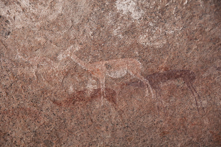 Bradshaw Foundation Rock Art Engraving Engravings Namibia Twyfelfontein /Ui- //aes Brandberg UNESCO World Heritage Site Africa Rock Art Network RAN