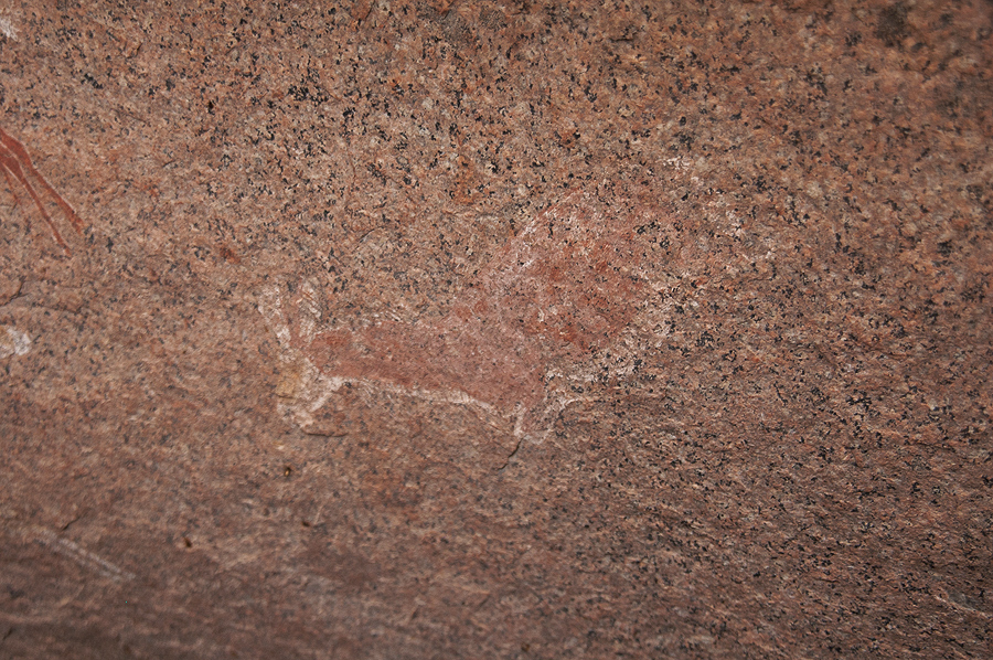 Bradshaw Foundation Rock Art Engraving Engravings Namibia Twyfelfontein /Ui- //aes Brandberg UNESCO World Heritage Site Africa Rock Art Network RAN
