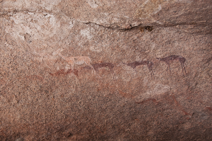 Bradshaw Foundation Rock Art Engraving Engravings Namibia Twyfelfontein /Ui- //aes Brandberg UNESCO World Heritage Site Africa Rock Art Network RAN
