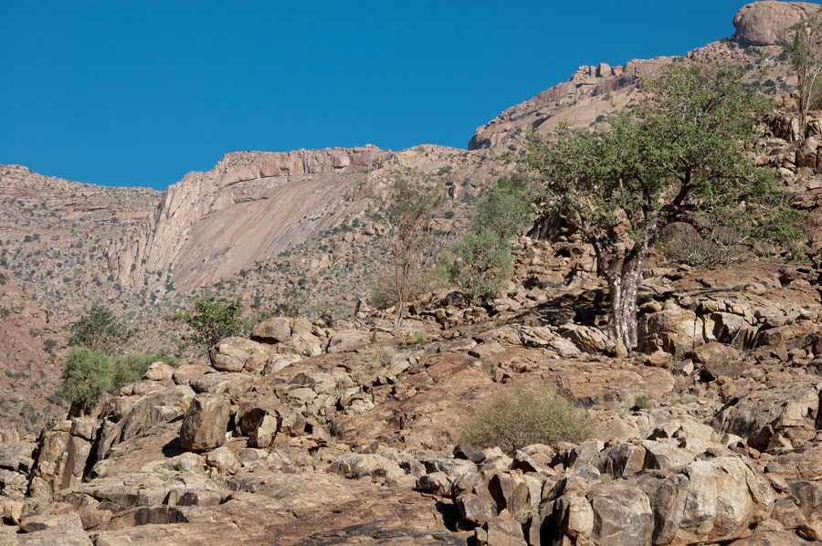 Bradshaw Foundation Rock Art Engraving Engravings Namibia Twyfelfontein /Ui- //aes Brandberg UNESCO World Heritage Site Africa Rock Art Network RAN