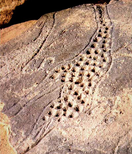 Engravings Rock Art Petroglyphs Petroglyph Twyfelfontein Namibia Africa