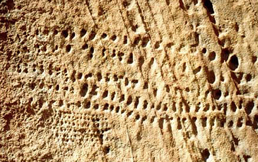 Engravings Rock Art Petroglyphs Petroglyph Twyfelfontein Namibia Africa