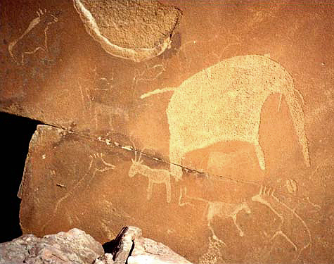 Engravings Rock Art Petroglyphs Petroglyph Twyfelfontein Namibia Africa