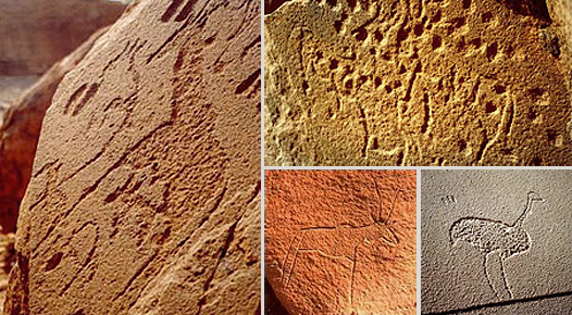 Engravings Rock Art Petroglyphs Petroglyph Twyfelfontein Namibia Africa