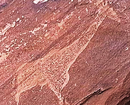 Engravings Rock Art Petroglyphs Petroglyph Twyfelfontein Namibia Africa Bradshaw Foundation