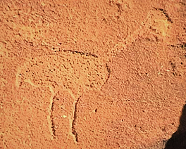 Engravings Rock Art Petroglyphs Petroglyph Twyfelfontein Namibia Africa Bradshaw Foundation