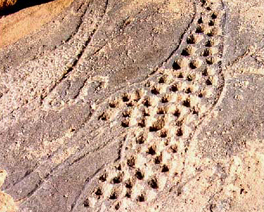 Engravings Rock Art Petroglyphs Petroglyph Twyfelfontein Namibia Africa Bradshaw Foundation