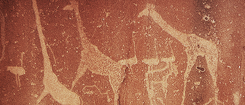 Engravings Rock Art Petroglyphs Petroglyph Twyfelfontein Namibia Africa Bradshaw Foundation