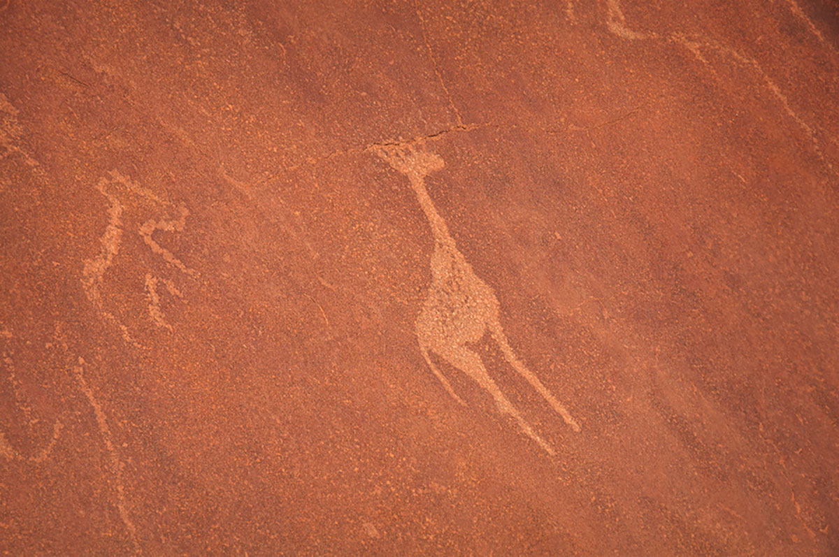 Bradshaw Foundation Giraffe Rock Art Engraving Engravings Namibia Twyfelfontein /Ui- //aes UNESCO World Heritage Site Africa Rock Art Network RAN