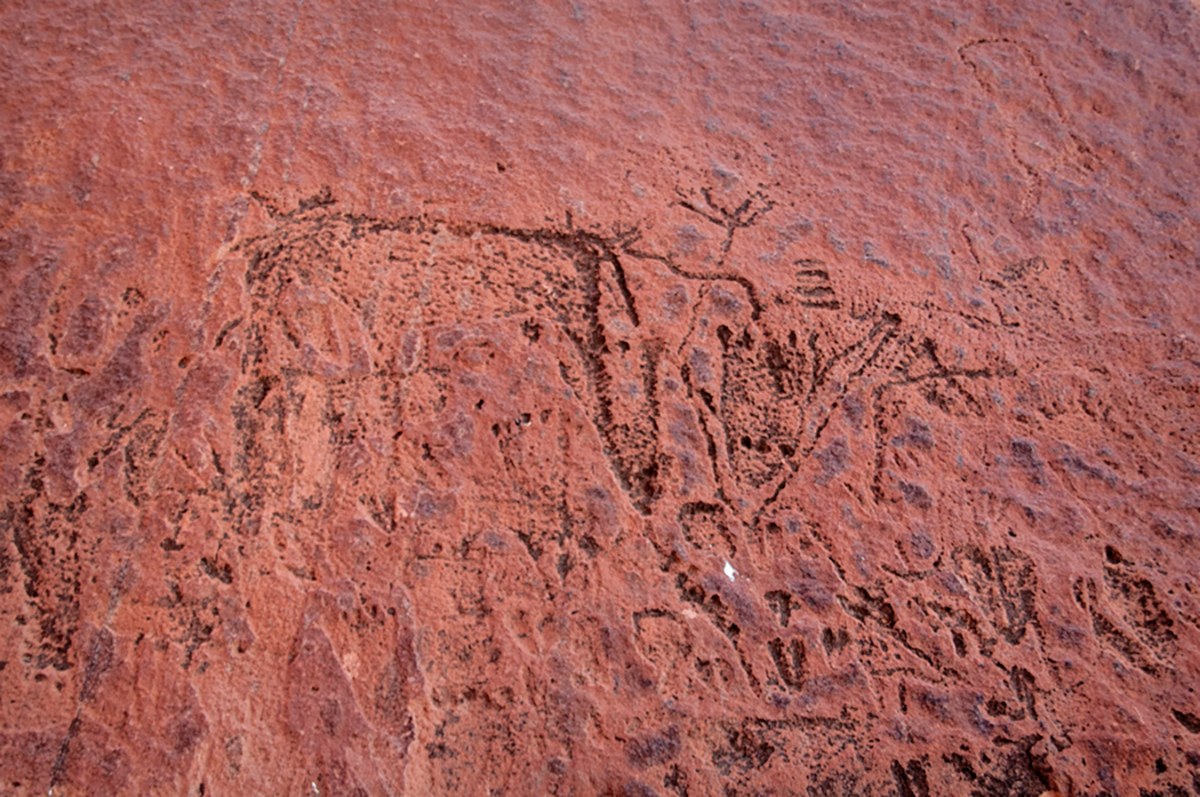 Bradshaw Foundation Rock Art Engraving Engravings Namibia Twyfelfontein /Ui- //aes UNESCO World Heritage Site Africa Rock Art Network RAN