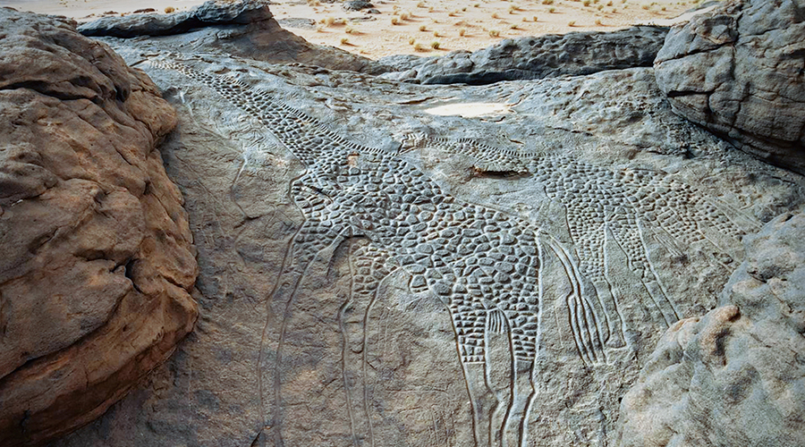 Dabous Giraffe Petroglyph Rock Art frican Rock Art Niger Africa Bradshaw Foundation Petroglyphs Pictographs Archaeology Prehistory