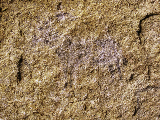 Rockart Rock Art Africa Nigeria Archaeology Birnin Kudu Petroglyphs Pictographs