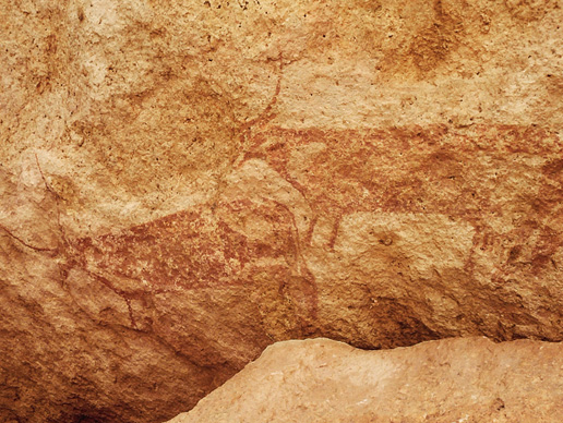 Rockart Rock Art Africa Nigeria Archaeology Birnin Kudu Petroglyphs Pictographs