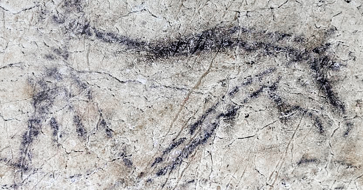 Bradshaw Foundation Instagram